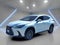 2024 Lexus NX 250 Base