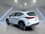 2024 Lexus NX 250 Base